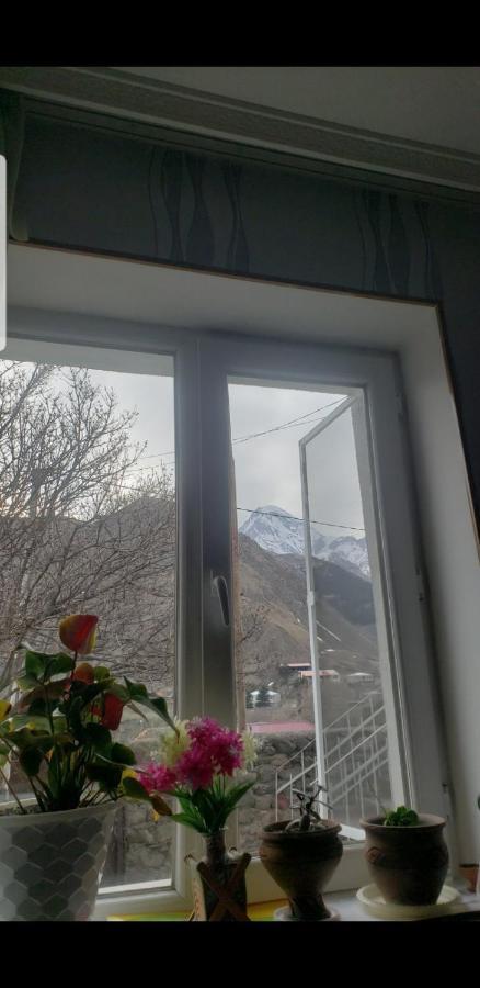 Guest House Dodo Kazbegi Extérieur photo