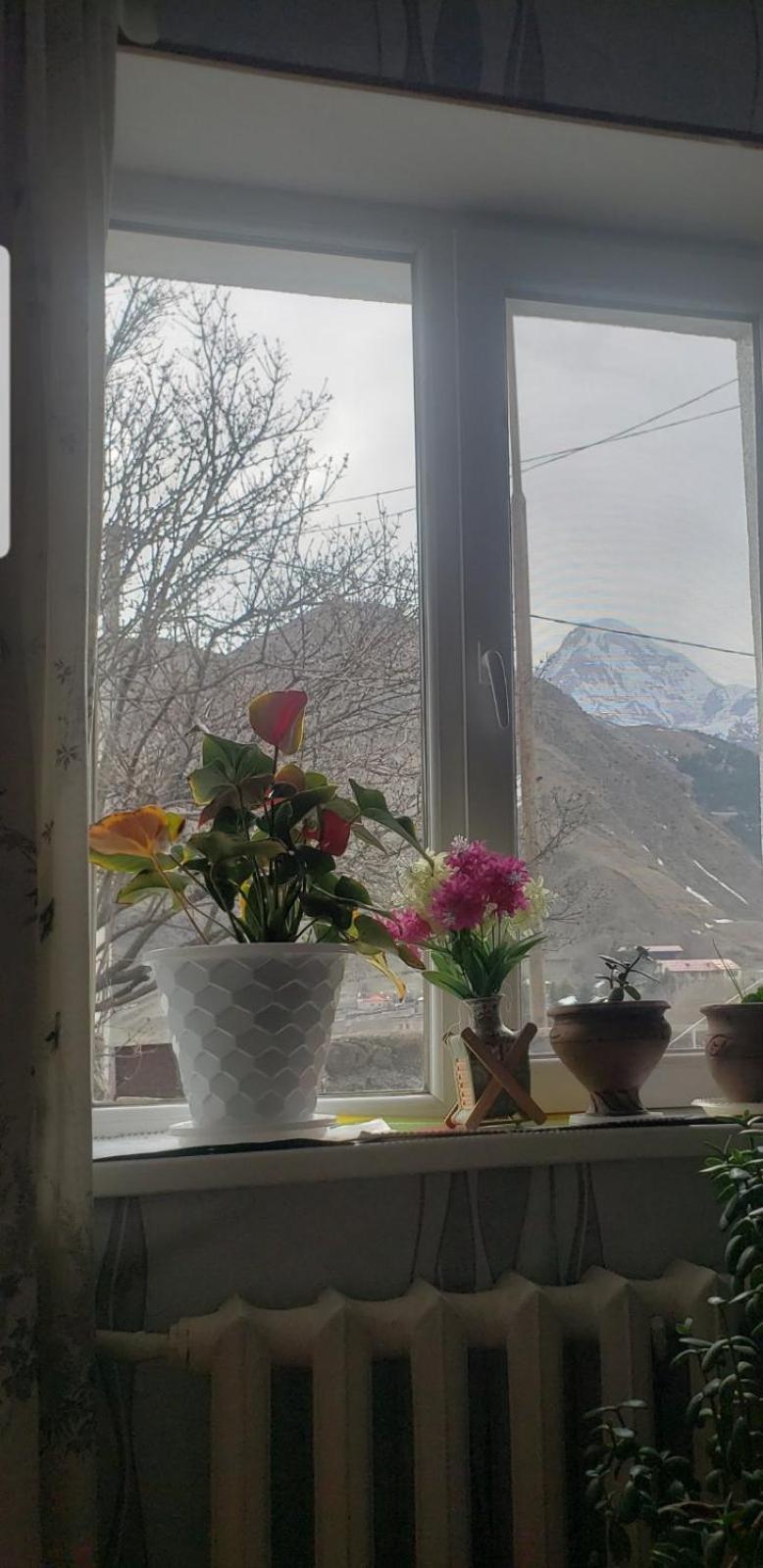Guest House Dodo Kazbegi Chambre photo